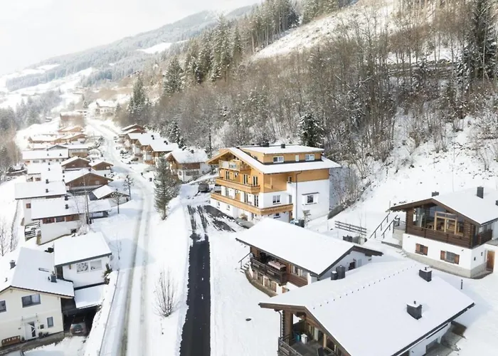 Tatil Evi Schoeneben 4 Wald im Pinzgau